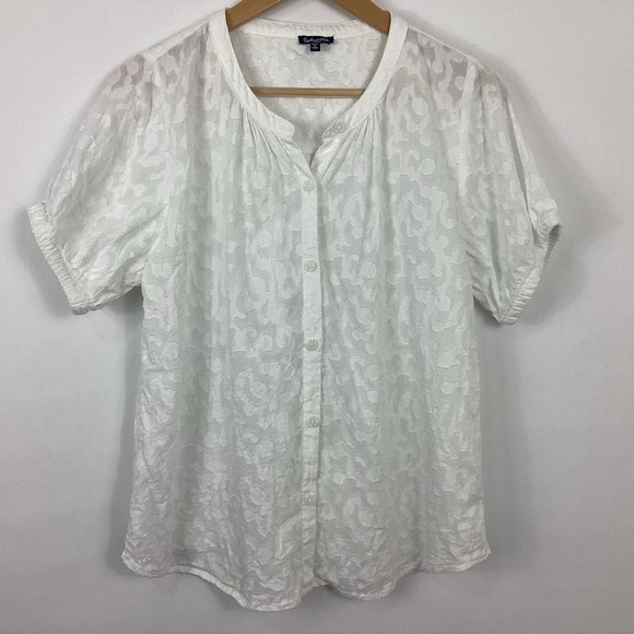 Splendid Tops - Splendid Fallon Blouse Size Small